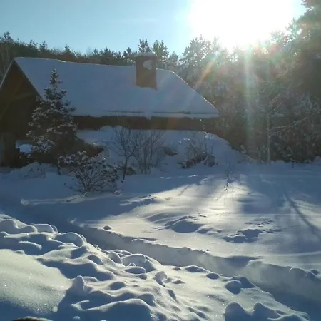 Modrzewiowa Chata Zaborze (Losice)