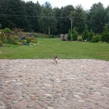 Modrzewiowa Chata * Zaborze (Losice)