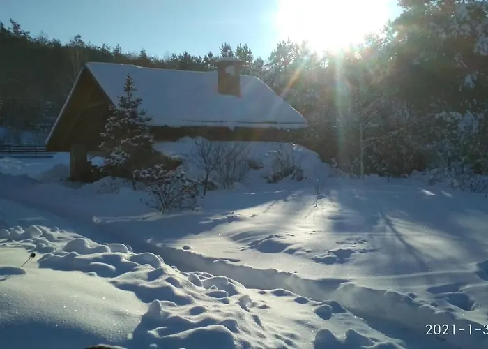 Modrzewiowa Chata Zaborze (Losice)