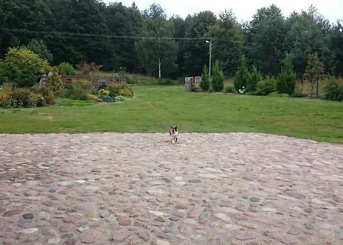 Modrzewiowa Chata * Zaborze (Losice)